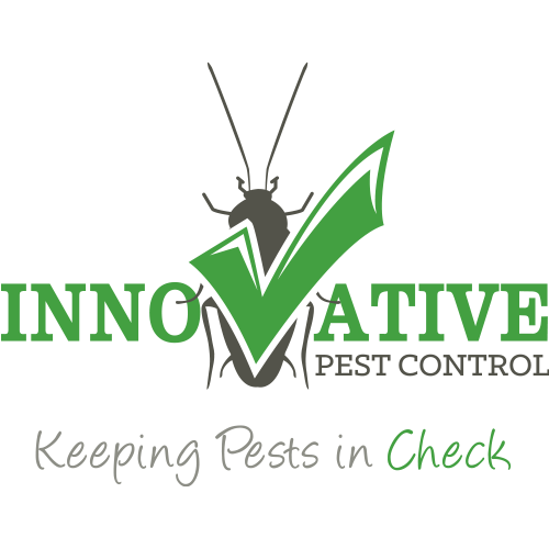 Invader Pest Management